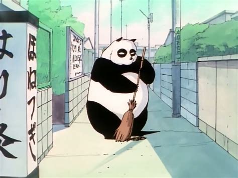 Genma Saotome Panda Long ago when he and soun were training under happosai he arranged with soun ...