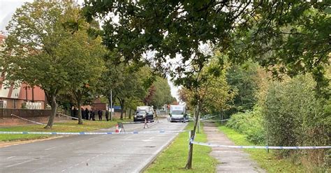 Loughton Death Photos Show Forensics Investigating Loughton Woodland Where Man Was Found Dead