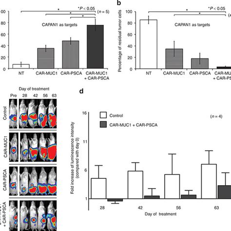 Targeting Tumors Using A Dual CAR Approach Produces Superior Antitumor