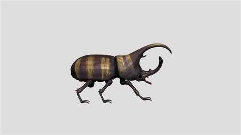 Herculesbeetle 3d Model By Willianmatias1988 1c4637c Sketchfab