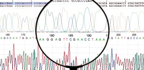 Advancements In Next Generation Sequencing A Game Changer In