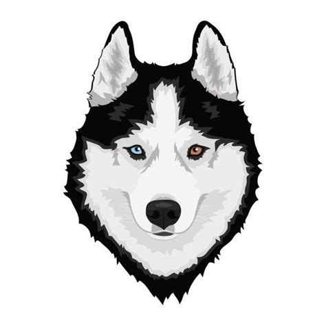 cute husky clipart 10 free Cliparts | Download images on Clipground 2024