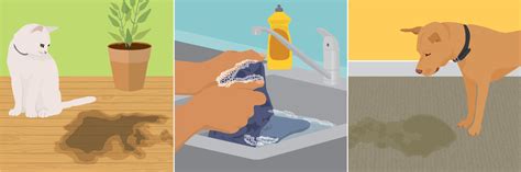 Stain Removal For Clothes and Household Surfaces | Fix.com