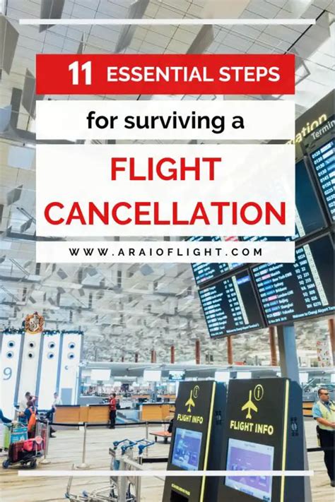 11 Helpful Tips For Surviving A Flight Delay Or Cancellation How To