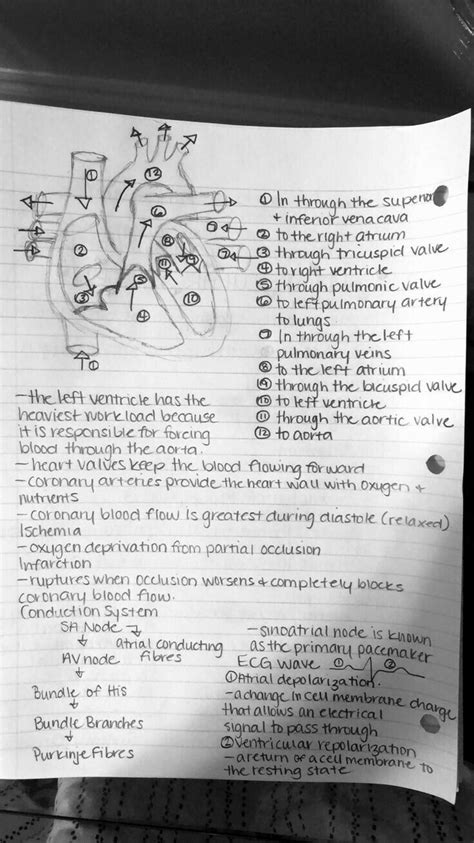 Nursing Student Tips Nursing School Studying Nursing School Notes