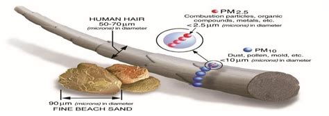 Comparison Between Particulate Matter Size Classification U S