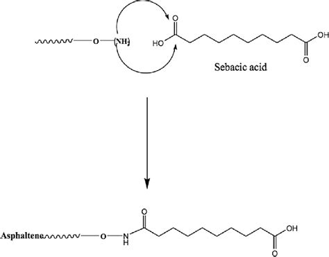 Interaction of sebacic acid with bitumen. | Download Scientific Diagram