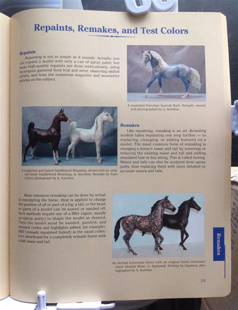 Breyer Animal Collectors Guide 2004 白狸の考現家 ＋keiba