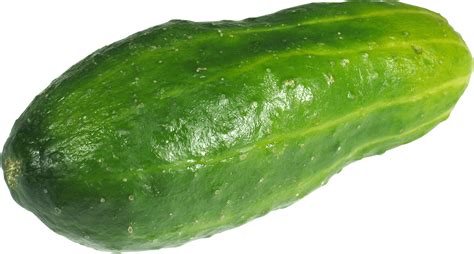 Cucumbers Png Image Transparent Hq Png Download Freepngimg