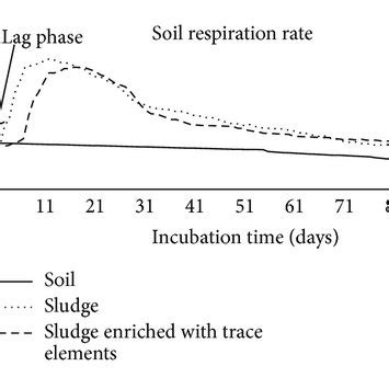 Typical Respiration Trends Of Soils Amended With Sewage Sludge Enriched