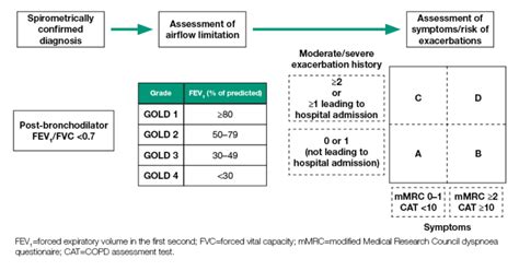 99 Chronic Obstructive Pulmonary Disease Copd Diagnostics Types