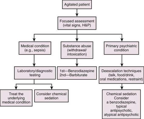 Physical and Chemical Restraint | Veterian Key