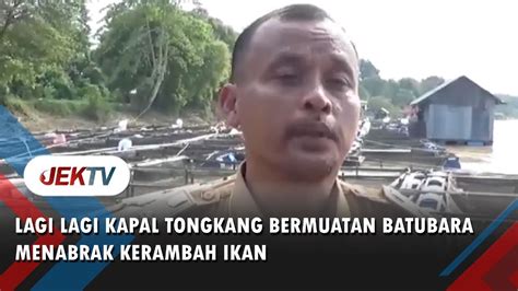 Lagi Lagi Kapal Tongkang Bermuatan Batubara Menabrak Kerambah Ikan