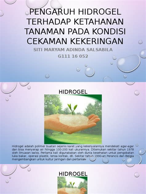 Pengaruh Hidrogel Terhadap Ketahanan Tanaman Pada Kondisi Cekaman