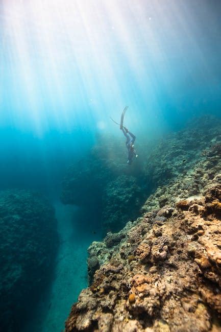 The Magic Of Bioluminescent Underwater Caves And Marine Life Random Facts