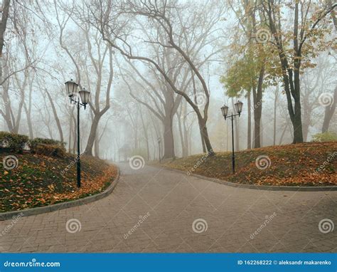 Cozy Alley In A City Foggy Park In The Fall Gomel Belarus Stock Photo