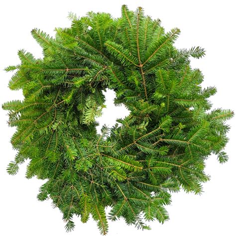 Fresh Plain Balsam Fir Wreath Van Putte Gardens