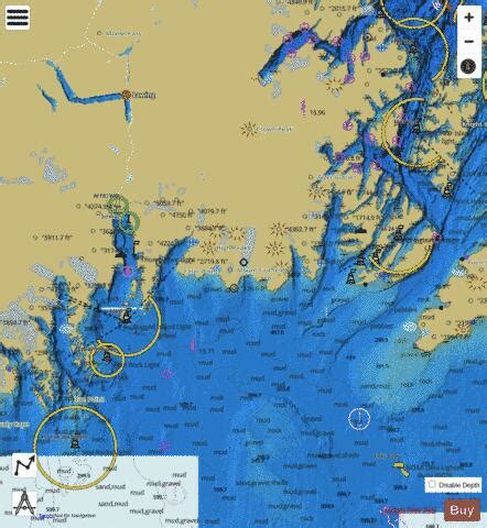 Point Elrington To Cape Resurrection Marine Chart Us P