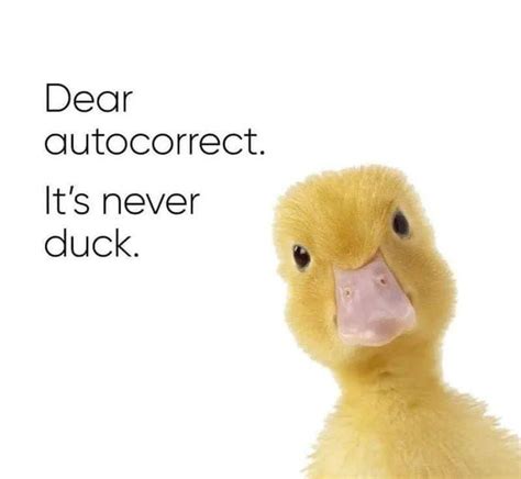 Just Duck You 9gag