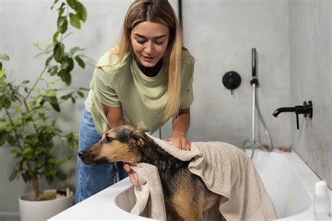 Guía Práctica Cómo bañar a tu perro en casa