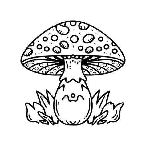 Premium Vector Mushroom Coloring Pages Mushroom Outline Vector For