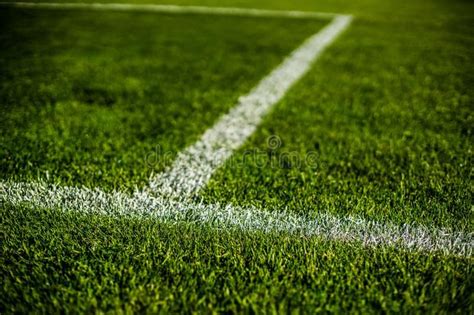 Green Bright Colorful Grass Pitch of Football Stadium