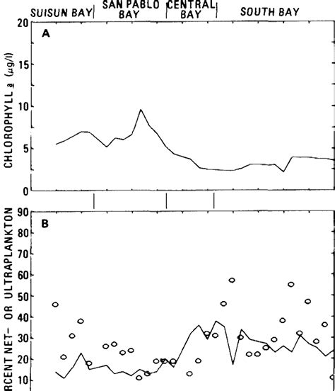 Longitudinal Profiles Of Near Surface Chlorophyll A A And Size Download Scientific Diagram