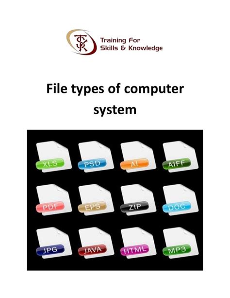 File types of computer system