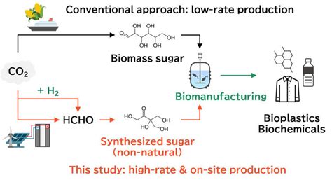 Microbial Biomanufacturing Using Chemically Synthesized Non Natural