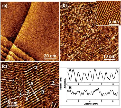 STM images of TMA on UPD 1 Â 1 Ag Au at di ff erent magni fi cations