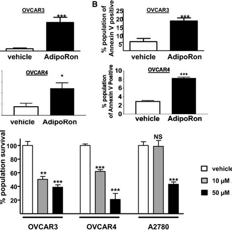 Effect Of Adiporon On Apoptosis And Cell Number A Ovcar And Ovcar