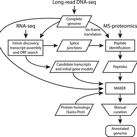 Integrative Genome Annotation Workflow Data From Four Different