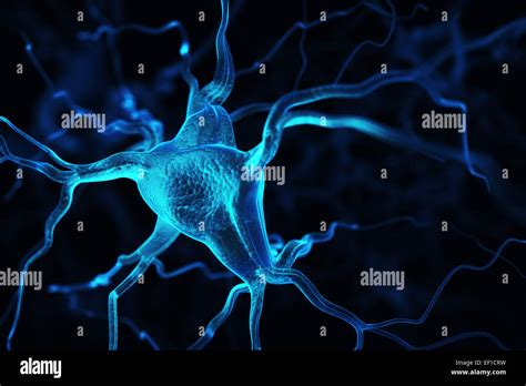 Neurons hi-res stock photography and images - Alamy 