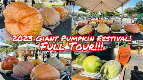 2023 Elk Grove Giant Pumpkin Festival Tour Elk Grove Park In Elk