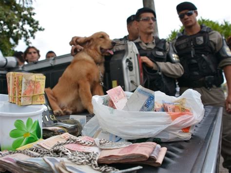 G1 Policial militar usa o próprio cão para achar drogas em João