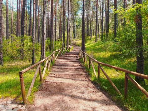 Visita Guiada Río Cuervo y Ciudad Encantada CUENCA GUIADA