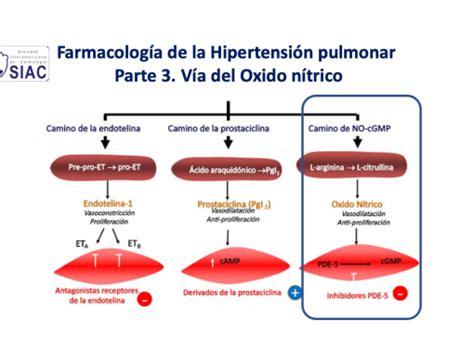 FARMACOLOGÍA CARDIOVASCULAR