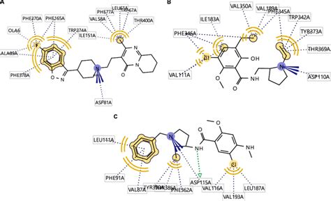 Established Pharmacophore Between A Risperidone And D2 Dopamine