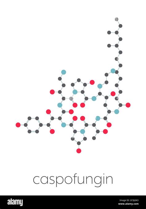 Caspofungin Antifungal Drug Molecule Stylized Skeletal Formula Chemical Structure Atoms Are