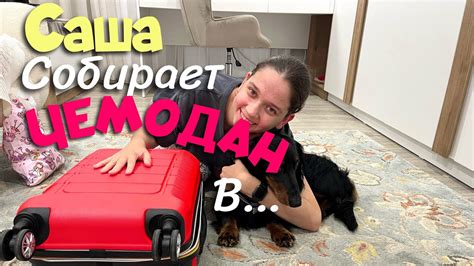 САША СОБИРАЕТ ЧЕМОДАН и СЬЕЗЖАЕТ / ЧЕЛЯБИНСК ЗАТОПИЛО - YouTube