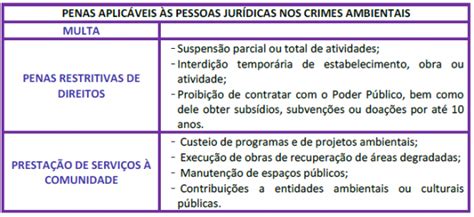 Resumo da Lei nº 9 605 1998 crimes ambientais parte 1