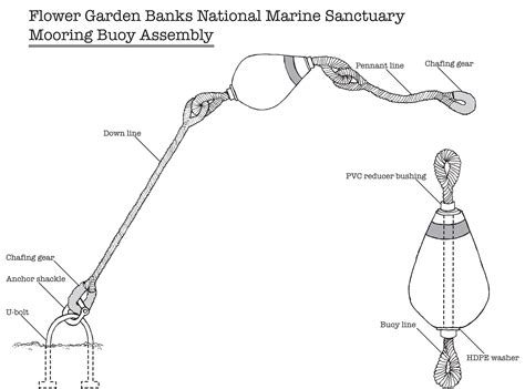 Mooring Buoys Flower Garden Banks National Marine Sanctuary