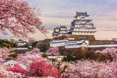 Premium Photo Himeji Japan At Himeji Castle During Spring Cherry