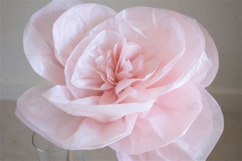 Paper Flowers On Pinterest Paper Flowers Tissue Paper Flowers And