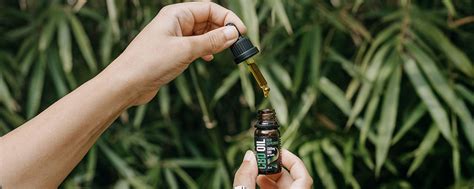 The 3 Step Cbd Guide Cbd Blog