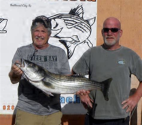 Colorado River Davis Dam Fish Report Davis Dam Nv