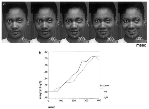 Human Facial Expressions As Adaptations Evolutionary Questions In Facial Expression Research