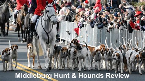 Middleburg Hunt And Hounds Review Christmas Parade 2019 Youtube