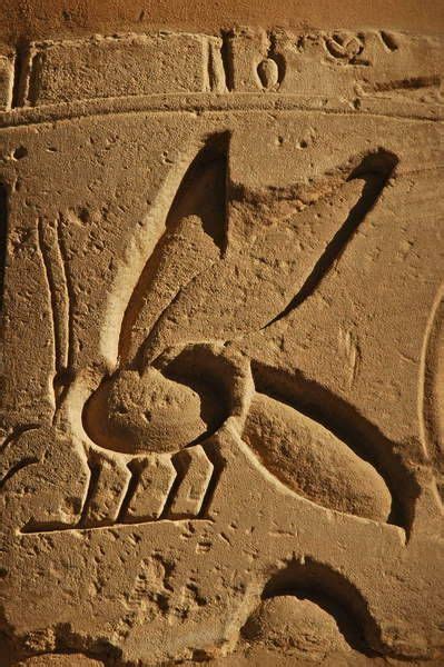 Relief Of A Honeybee Ancient Egypt Art Ancient Egypt Egyptian Mythology