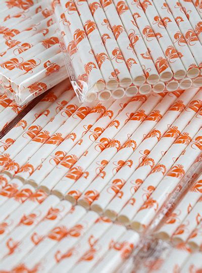 Paper Straws Paper Straws Wholesale Paperstrawtech